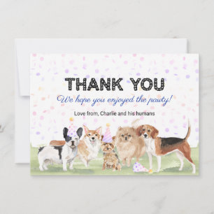 Süße benutzerdefinierte Pet Pawty blaue Hunde-Gebu Dankeskarte
