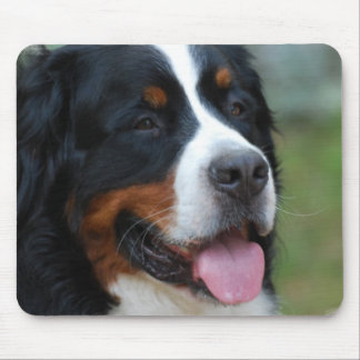 Süße Bernese Mausunterlage Mousepad