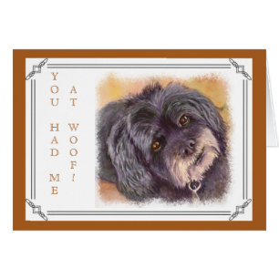 SÜSSE BLACK COCK-A-POO MIX