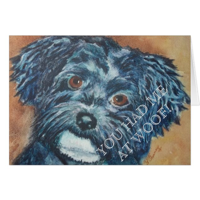 SÜSSE BLACK HAVANESE (Vorderseite (Horizontal))