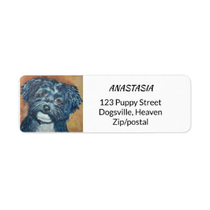 SÜSSE BLACK HAVANESE