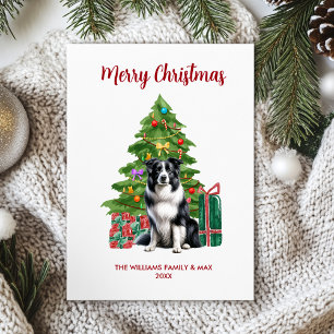 Süße Border Collie-Hundefamilie Weihnachten