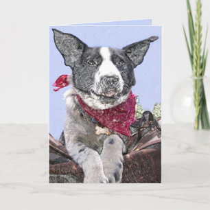 Süße Border Collie-Mischung Hund Skizze Kunst Indi Karte