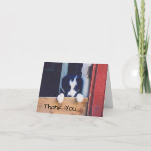 Süße Border Collie Welpen-Hund-Dankeschön-Karte Dankeskarte