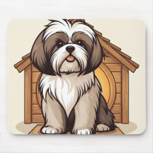 Süße braune und weiße Shih Tzu