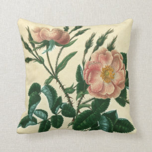 Süße Briar-Rose Kissen