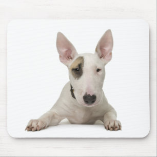 Süße Bull Terrier Mama Welpe Papa Hundeliebhaber R Mousepad