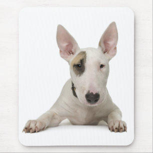 Süße Bull Terrier Mama Welpen Papa Hundeliebhaber Mousepad