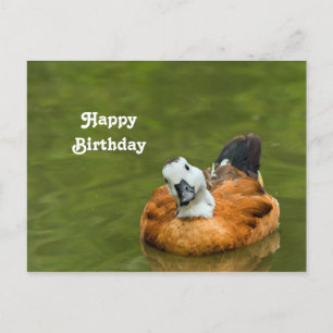Süße bunte Enten-Foto-Geburtstag Postkarte