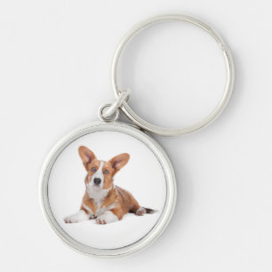 Süße Cardigan Welsh Corgi Welpen-Hundefreundin Schlüsselanhänger