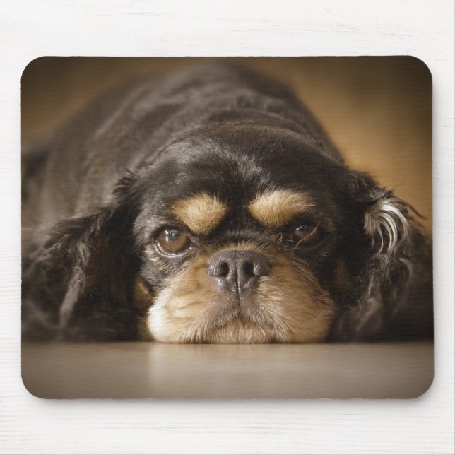 Süsse Cav! Mousepad (Vorne)