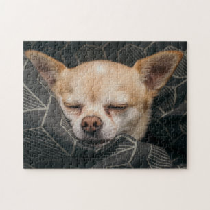 Süsse Chihuahua Puzzle