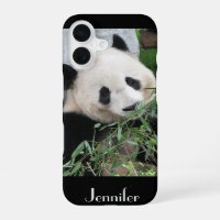 Süße chinesische Große Panda mit schwarzer Trim, b
