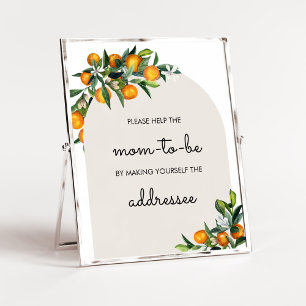 Süsse Citrus Orange Baby Envelope Station Poster