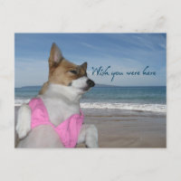 Süße Corgi-Sommerferien-Wunschkarte, dass du hier 