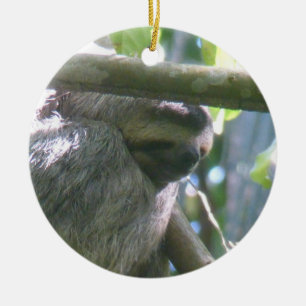 Süße Costa Rica Faultier-Ornament Keramik Ornament