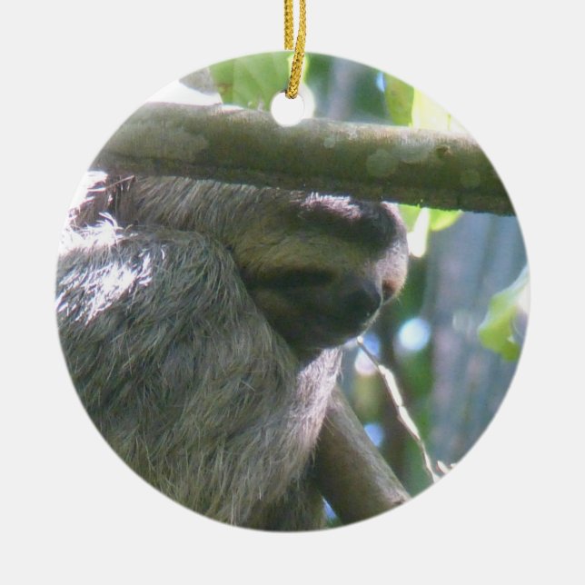 Süße Costa Rica Faultier-Ornament Keramik Ornament (Vorne)