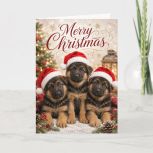 Süße Deutsche Schäferhund-Welpen Frohe Weihnachten Karte