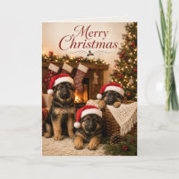 Süße Deutsche Schäferhund-Welpen Frohe Weihnachten