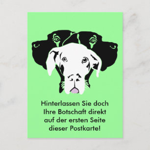 Süße Dogge in weiß Postkarte