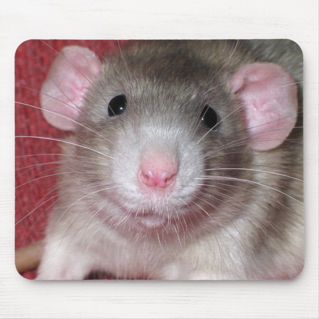 Süße Dumbo-Ratte Mousepad (Vorne)
