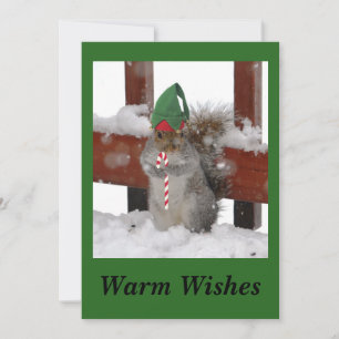 Süße Eichhörnchen-Flachweihnachtskarte auf Grün Feiertagskarte