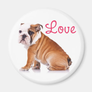 Süße Englische Bulldogge Liebhaber Lustiger Welpe  Magnet