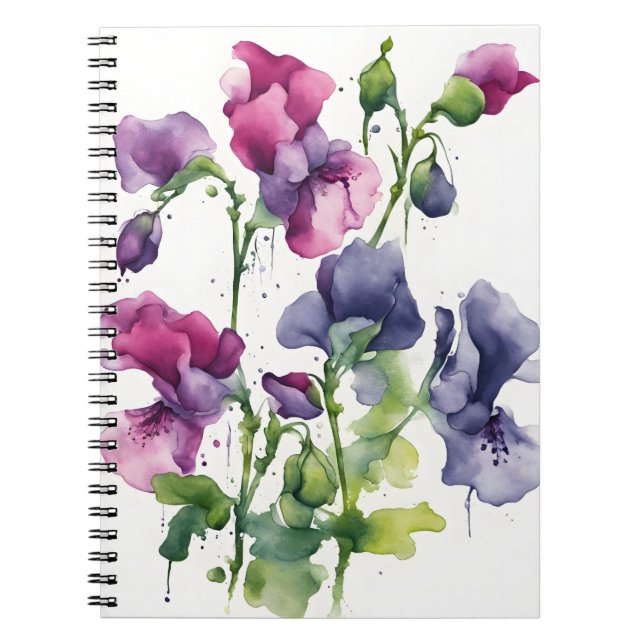 Süße Erbse - Aquarellblumen Notizblock (Vorderseite)