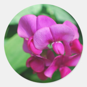 Süße Erbsen-Aufkleber Runder Aufkleber