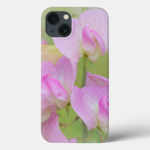 Süße Erbsenblüten Seabeck, WA Case-Mate iPhone Hülle