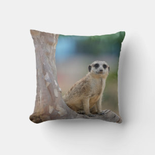 Süße Erdmännchen saß auf einem Baum Kissen