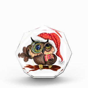 Süße Eule mit Weihnachtsmütze und Geschenk Foto Bl
