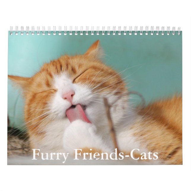 Süße Fellfreunde Katzenkalender Kalender (Titelbild)