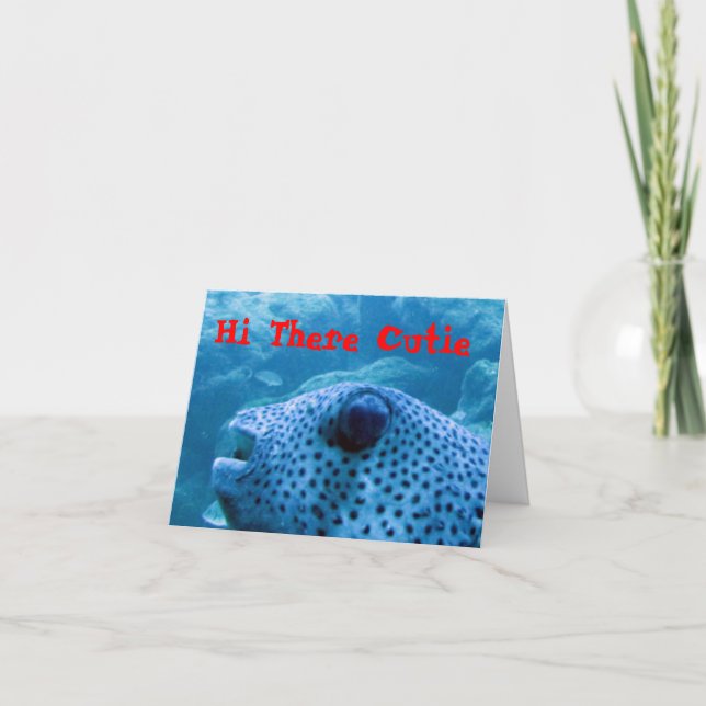 Süsse Fish Note Card Karte (Vorderseite)