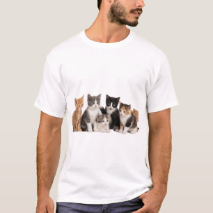 Süße flauschige Kätzchen Gruppe Transparent PNG Au T-Shirt