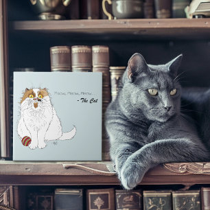 Süße Fluffige Perserkatze Lustiges Miauen Blau Fliese