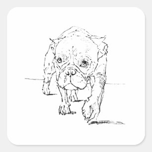 Süße Französische Bulldogge, Hunde-Illustration Quadratischer Aufkleber