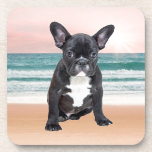 Süße Französische Bulldogge Strand Sonne Wasser Untersetzer