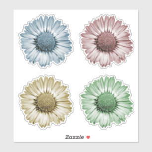Süße Gänseblümchen-Blütenköpfe, Sticker in vier Fa