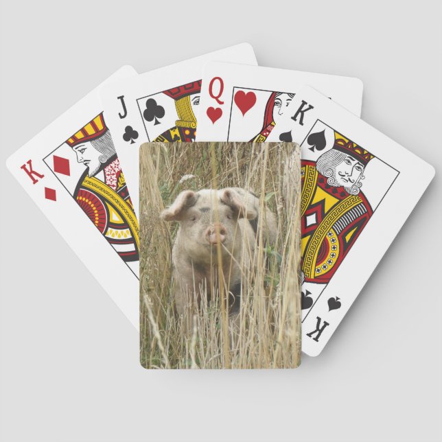 Süße gefleckte Schwein Spielkarten (Rückseite)