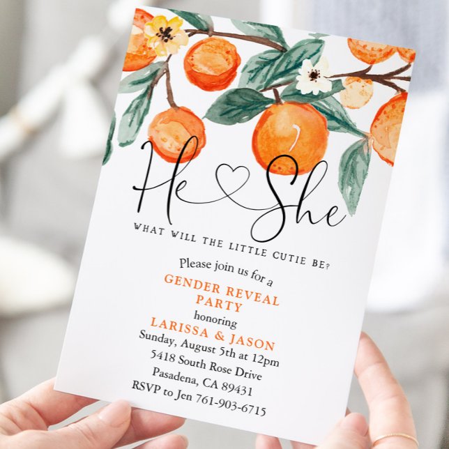 Süsse Gender Reveal Party Einladung (Von Creator hochgeladen)
