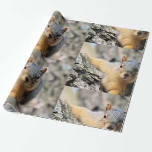 Süsse Geschenkpapier