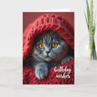 Süße gestreifte Katzen-Geburtstagskarte