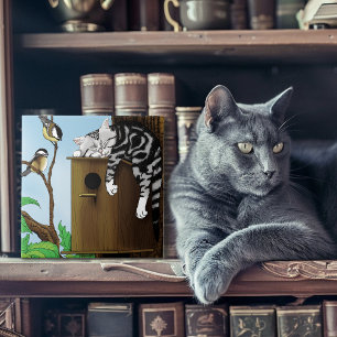 Süße getigerte Katze beim Schläfchen im Vogelhäusc Fliese