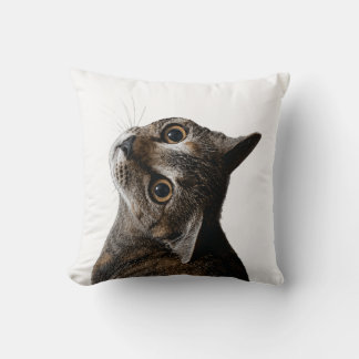 Süße getigerte Katze Nahaufnahme Foto Kissen