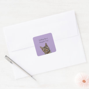 Süße getigerte Katze Perfekter Tag Lavendel Quadra Quadratischer Aufkleber