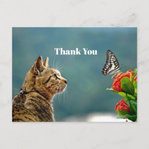 Süße getigerte Katze Schmetterling Foto Danke Postkarte
