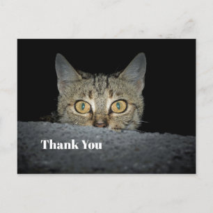 Süße getigerte Katze späht Foto Danke Postkarte