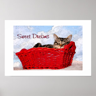 Süße getigerte schlafende Katze im roten Korb Foto Poster