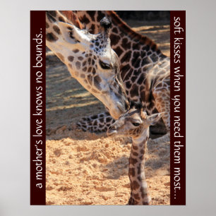 Süße Giraffen; die Liebe einer Mutter kennt keine  Poster